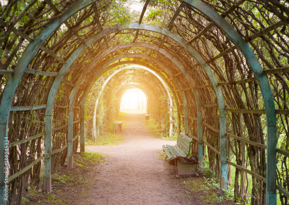 Ark of trees Ark of trees