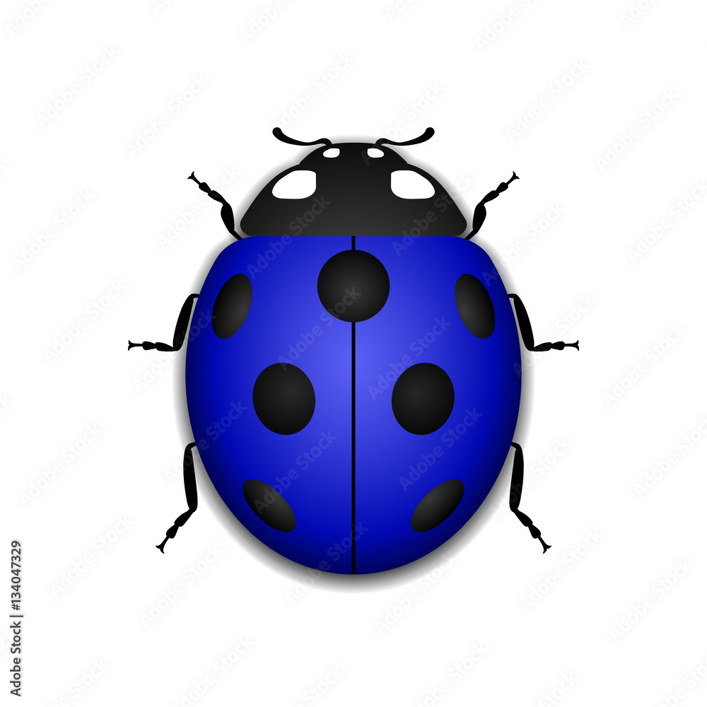 Fototapeta premium Ladybug small icon. Blue lady bug sign, isolated on white background. 3d volume design. Cute colorful ladybird. Insect cartoon beetle. Symbol of nature, spring or summer. Vector illustration