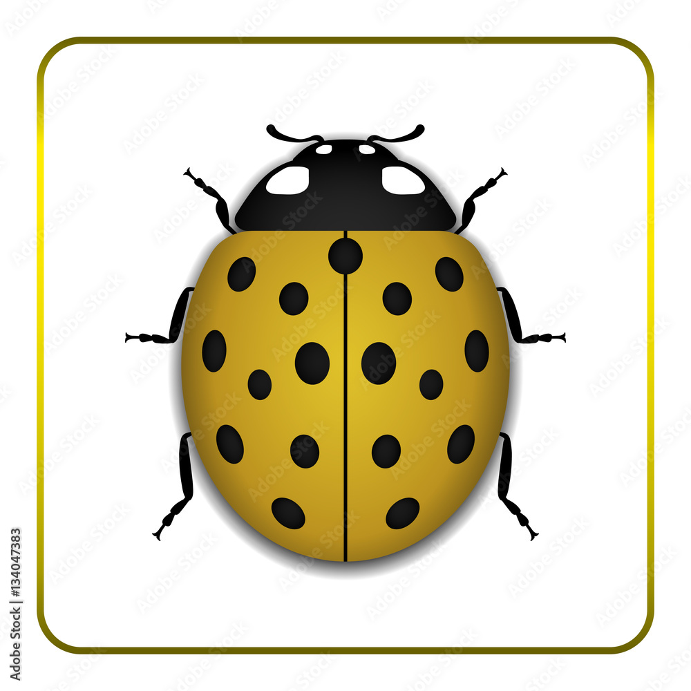 Ladybug small icon. Yellow lady bug sign, isolated on white background. 3d volume design. Cute colorful ladybird. Insect cartoon beetle. Symbol of nature, spring or summer. Vector illustration