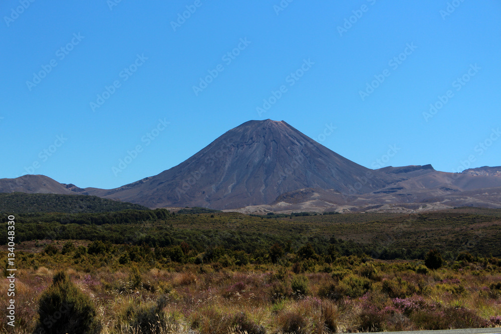 Vulkan- Ngauruhoe