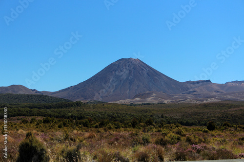 Vulkan- Ngauruhoe