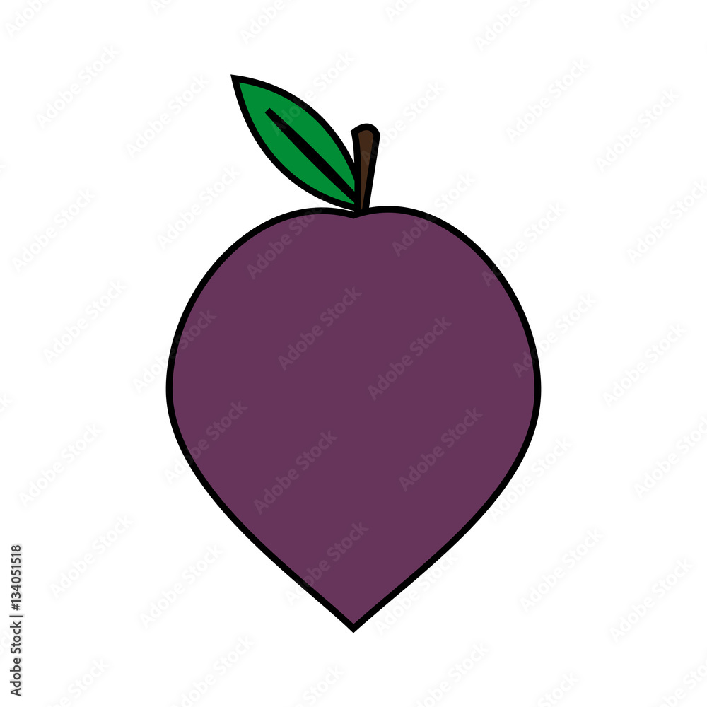 Fototapeta premium plum fruit icon over white background. colorful design. vector illustration