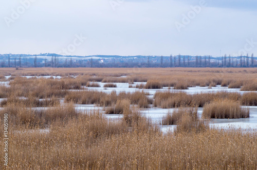 Landscape photo with ponds and reed