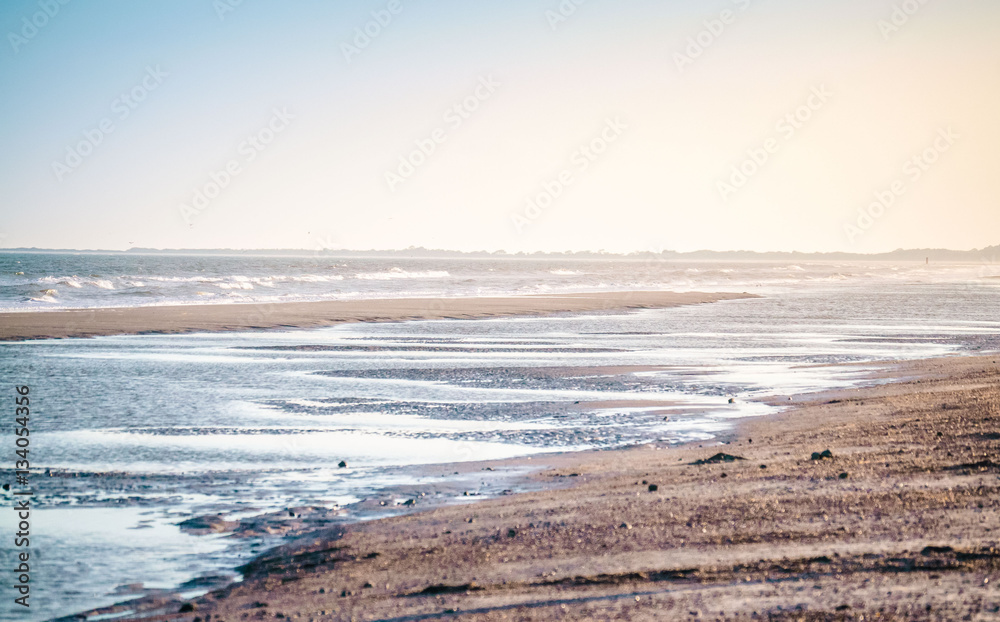 Golden Summer on the beach