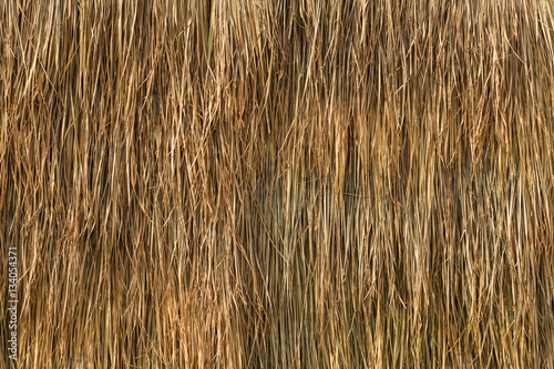 Obraz na plátně bale of hay background as an agriculture farm dried grass straw