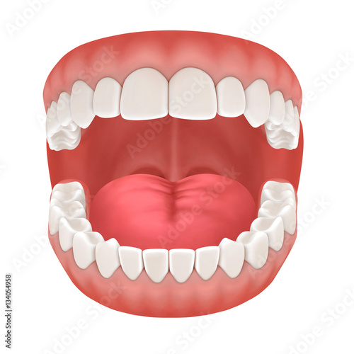 Fotografía 3d rendering of human teeth, open mouth on white background