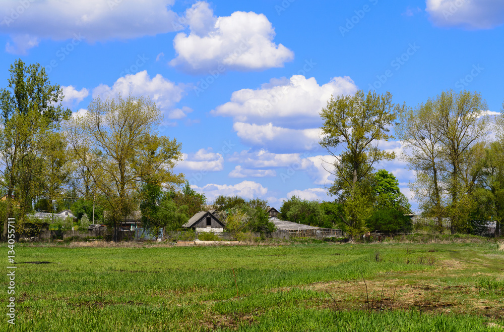 The village is in the Belarusian Polesie, May, spring, Brest, Belarus,