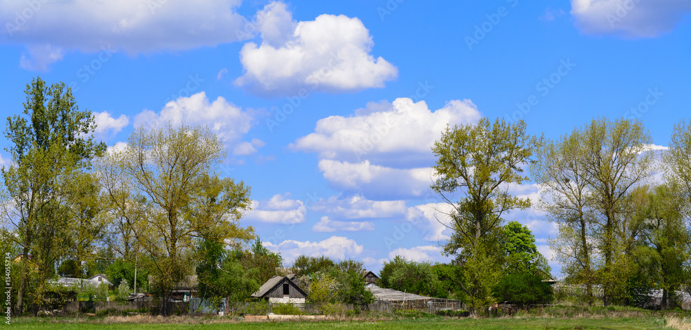 The village is in the Belarusian Polesie, May, spring, Brest, Belarus,