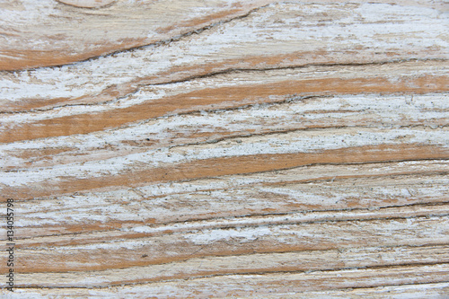 Old painted wood texture