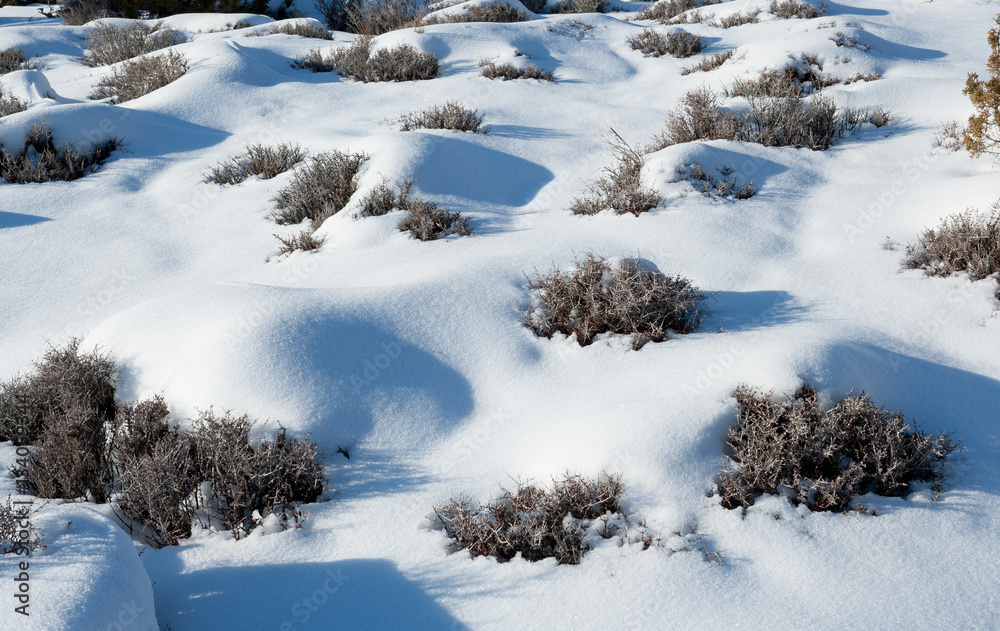 Area near Pahrump, covered with snow, NV Area near Pahrump, covered with snow, NV