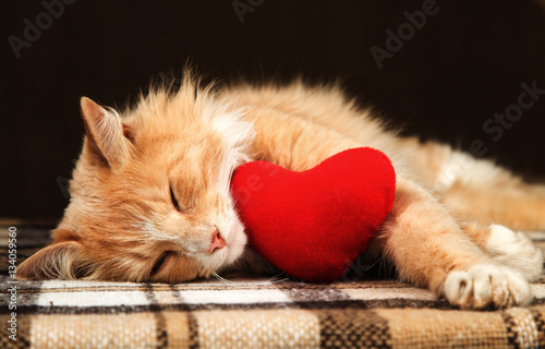 Golden red cat asleep hugging a small plush heart toy.