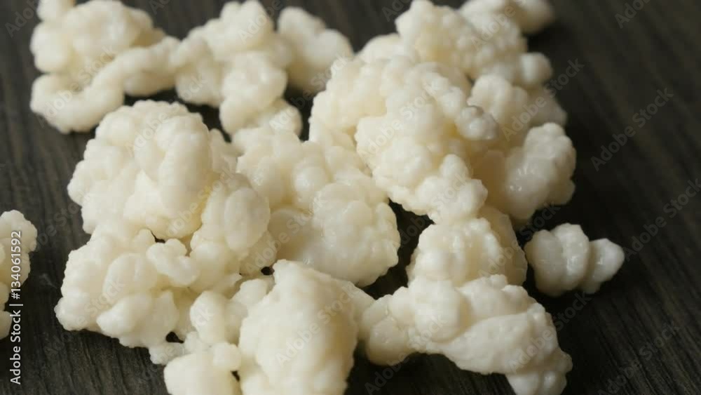 Close-up of Lactobacillus species lactic acid bacteria and yeasts kephyr 4K 2160p 30fps UltraHD footage - Fungus grains bacterial fermentation starter of milk kefir drink slow pan 3840X2160 UHD video 