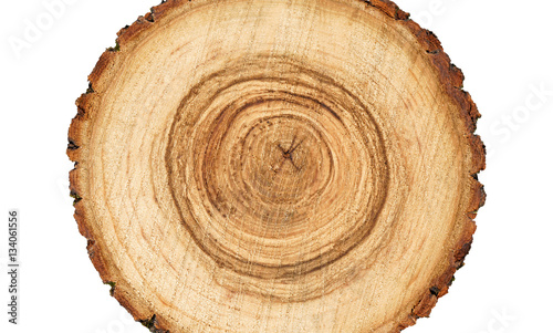 Tree rings and texture on a large wood stump isolated on white