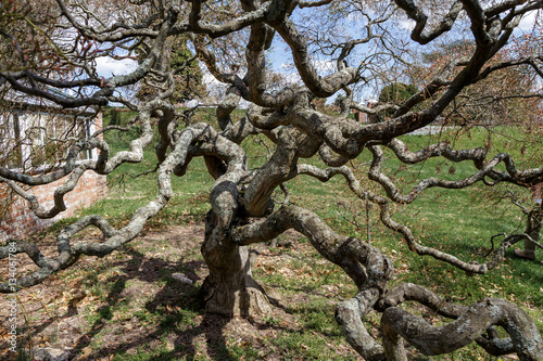 twists and turns photo