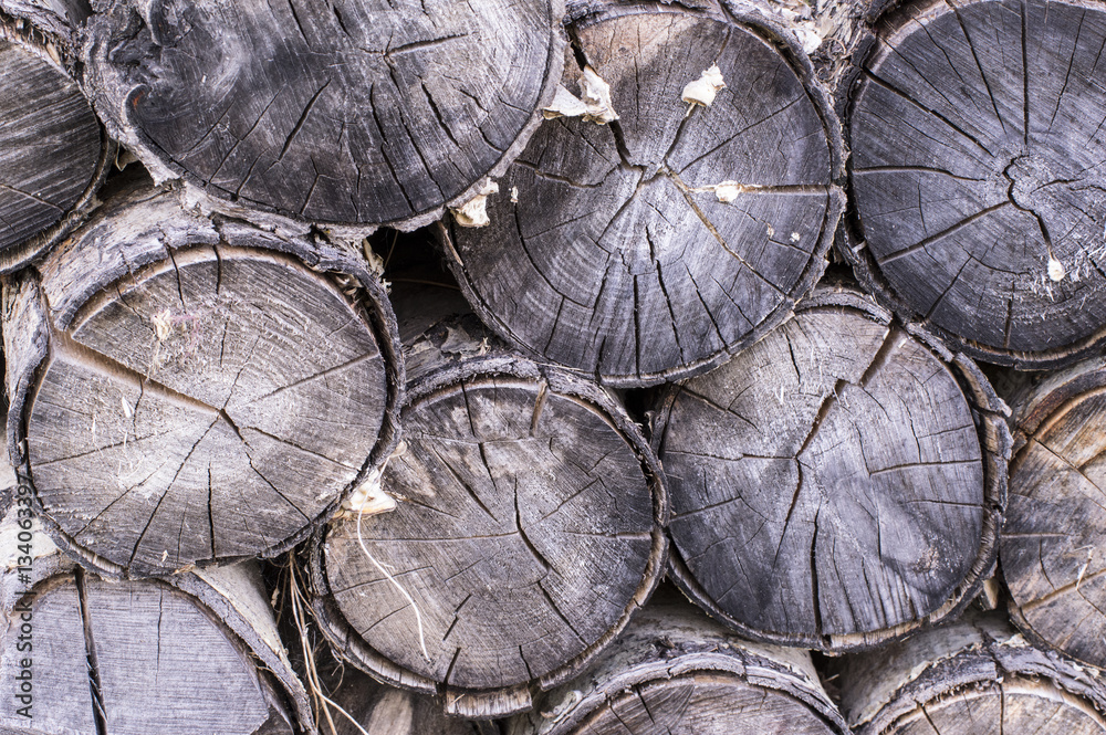 Naklejka premium Firewood 01