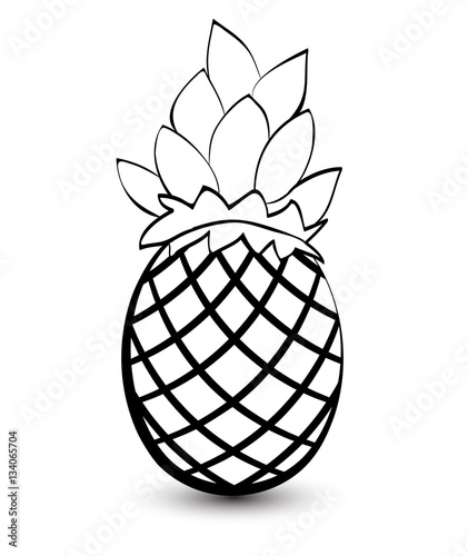 Outline sketch monochrome pineapple. Black and white elegant contour of the fruit. Drawing for coloring and design packaging for juices, diet food.