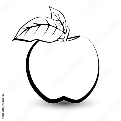 Outline sketch monochrome apple. Black and white elegant contour of the fruit. Drawing for coloring and design packaging for juices, diet food.