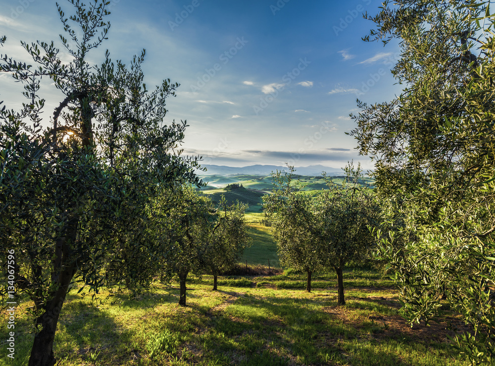 Tuscan hills and spring landscape.