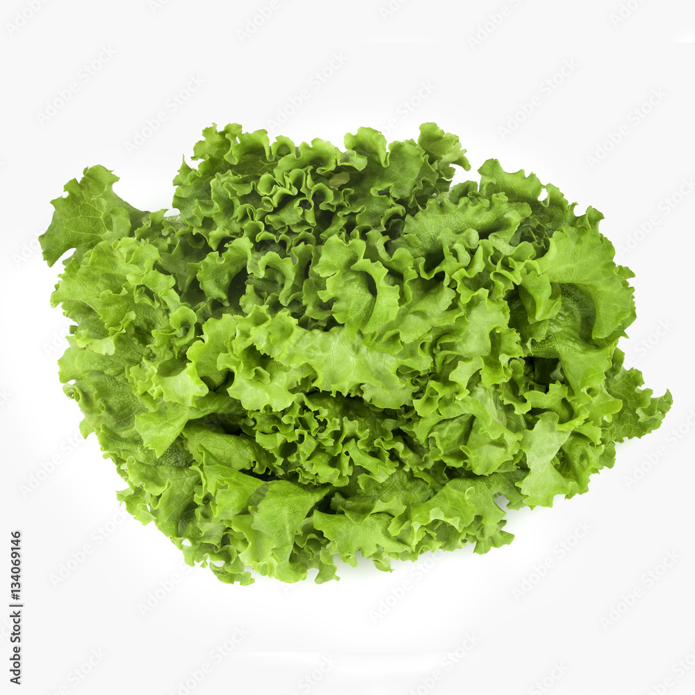 Green Leaf Lettuce Green Leaf Lettuce