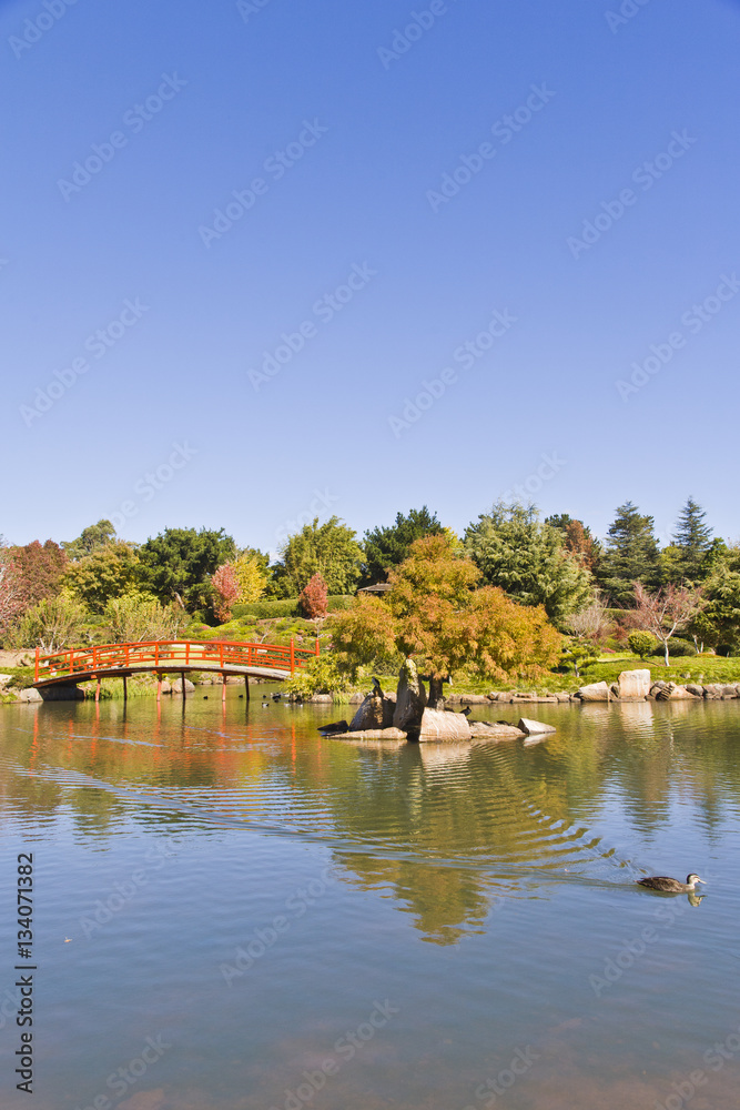 Japanese Garden, Toowoomba, Queensland, Australia Japanese Garden, Toowoomba, Queensland, Australia