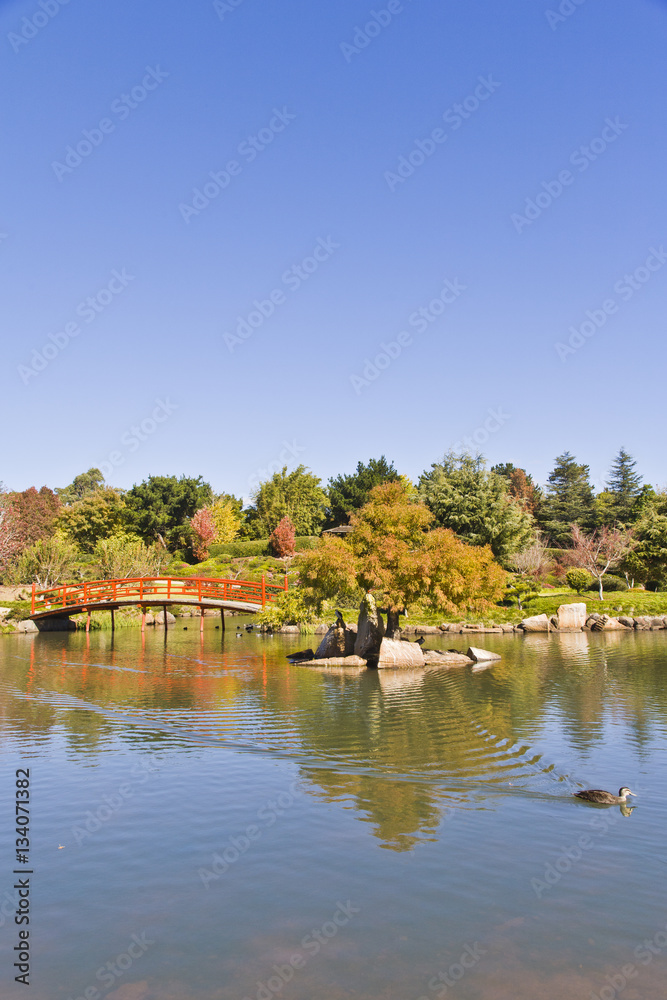 Japanese Garden, Toowoomba, Queensland, Australia