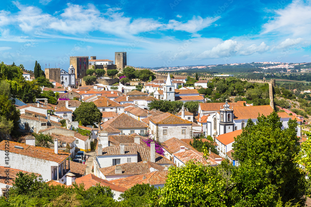 Panoramic view of Obidos Panoramic view of Obidos