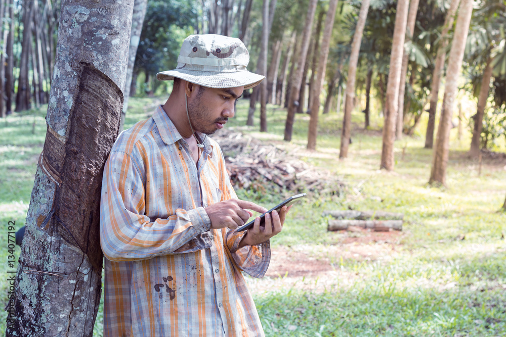Young gardener man holding digital tablet in garden Young gardener man holding digital tablet in garden
