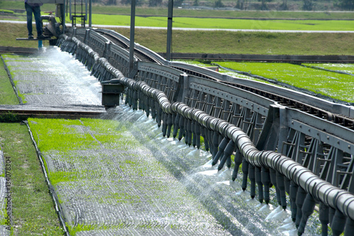 Watering for seedings rice with automatic.