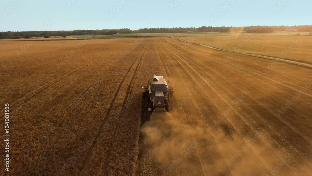 Top View of Working Agricultural Harvester on Wheat Field at Sunset Time. Follow Shot. Top View of Working Agricultural Harvester on Wheat Field at Sunset Time. Follow Shot.
