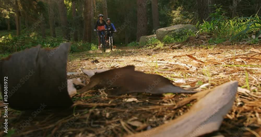 Male mountain biker riding in the forest Male mountain biker riding in the forest