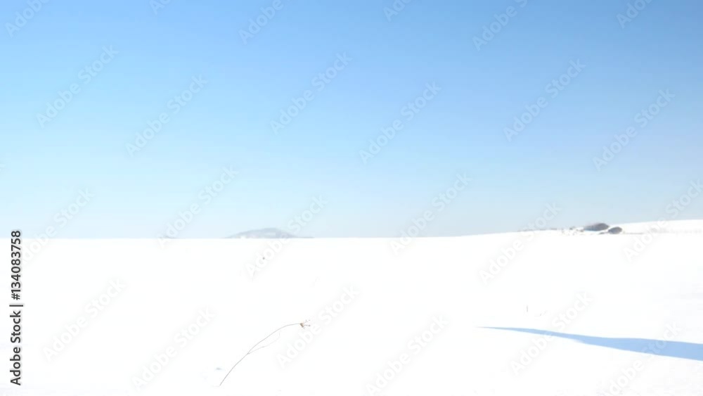 Winter tourist with snowshoes walk in snowy drift. Hiker in green sports jacket and black trekking trousers snowshoeing in powder snow. Amazing sunny winter day, gentle wind brings small snow flakes. Winter tourist with snowshoes walk in snowy drift. Hiker in green sports jacket and black trekking trousers snowshoeing in powder snow. Amazing sunny winter day, gentle wind brings small snow flakes.