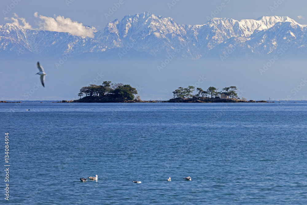 カモメと立山と虻ヶ島