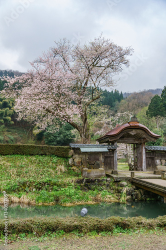 japanese landscape - ichijodani asakura shi iseki - fukui photo