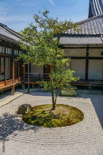 japanese landscape - kenninji - kyoto photo