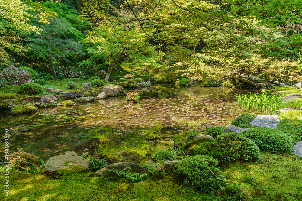 japanese landscape - nanzenin - kyoto