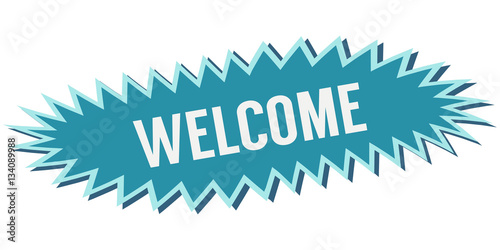 blue banner welcome