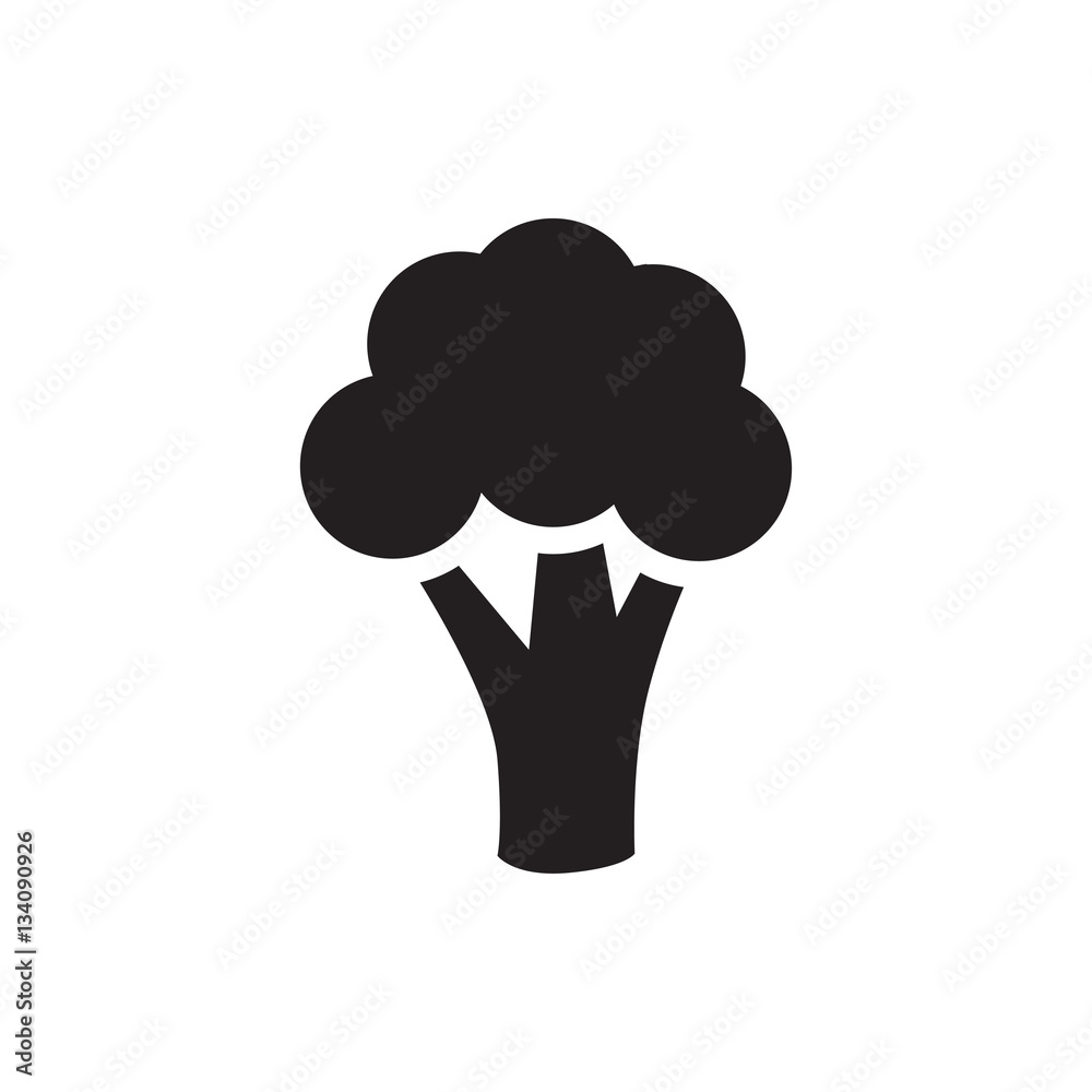 cauliflower icon illustration cauliflower icon illustration
