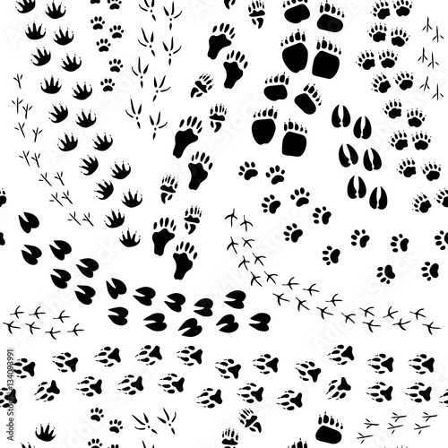 Animal Track Seamless Pattern