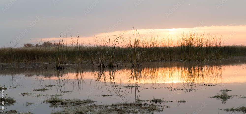 beautiful sunrise of the sun on the lake