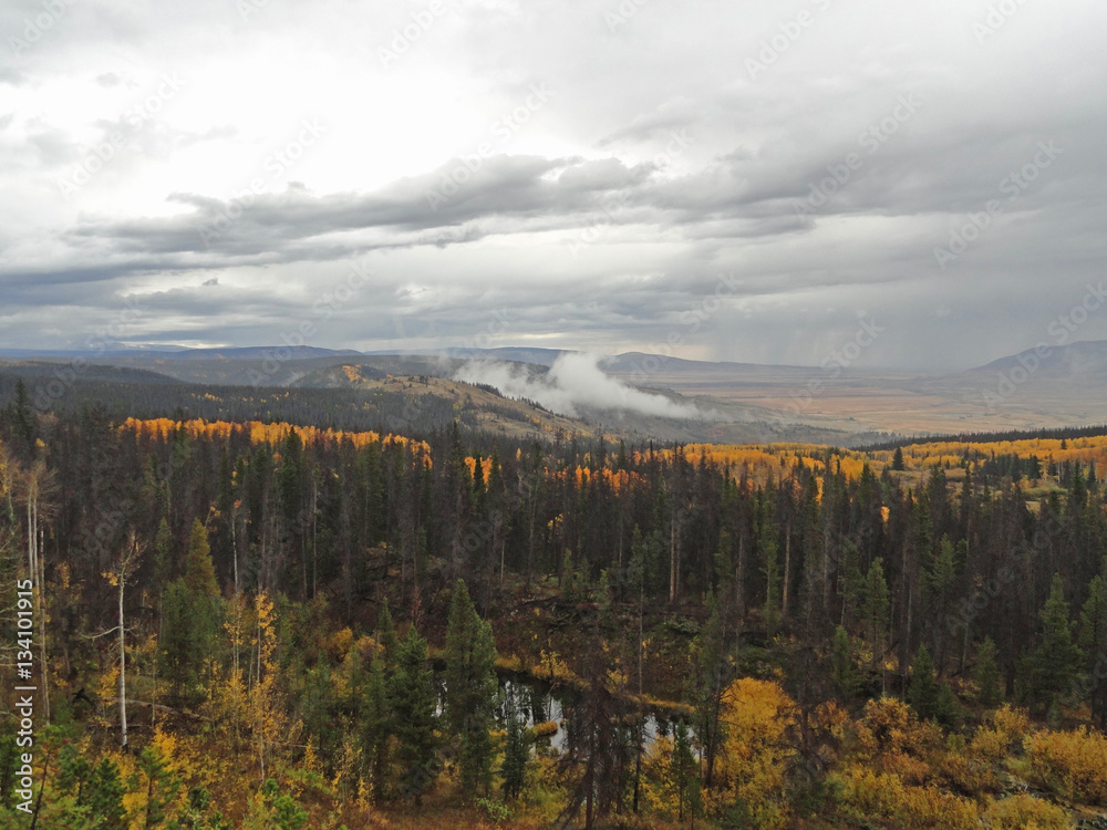 Wyoming Aspens 1 Wyoming Aspens 1