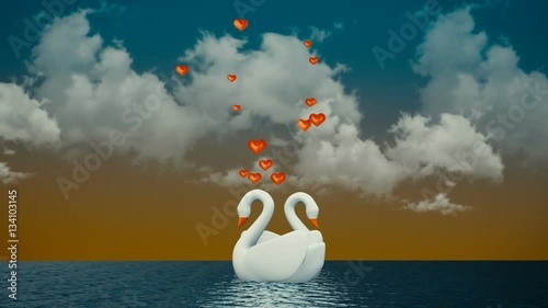 Romantic Couple of swans swimming