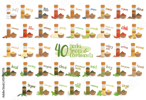 Set of 40 different culinary herbs, species and condiments in cartoon style.