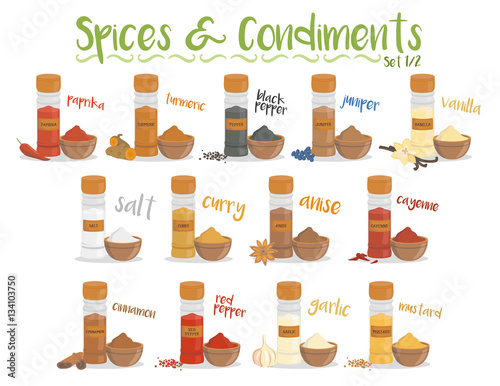 Set of 13 different culinary species and condiments in cartoon style. Set 1 of 2