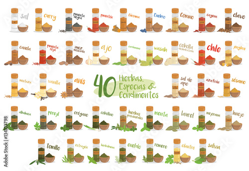 Set of 40 different culinary herbs, species and condiments in cartoon style. Spanish names.