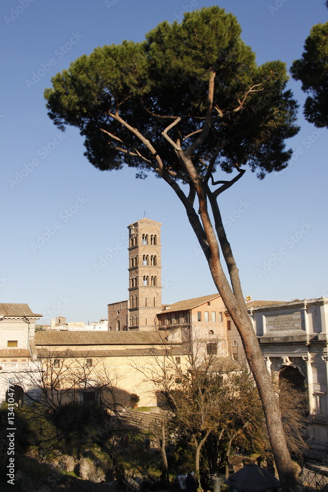 Pin parasol à Rome, Italie Stock Photo | Adobe Stock