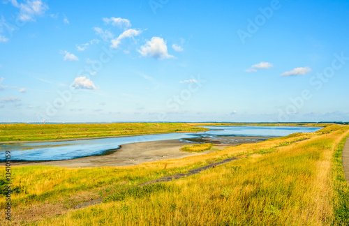 Fototapeta Naklejka Na Ścianę i Meble -  Colorful nature reserve on the edge of an estuary