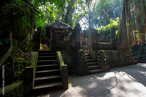 Monkey Forest Temple