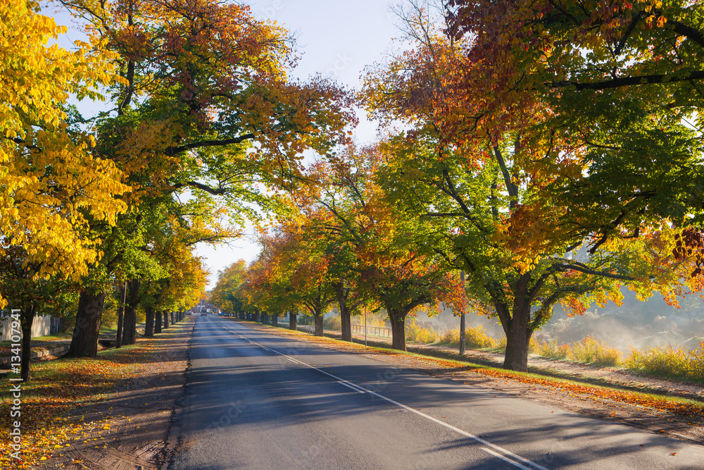 Naklejka premium Maldon in Autumn