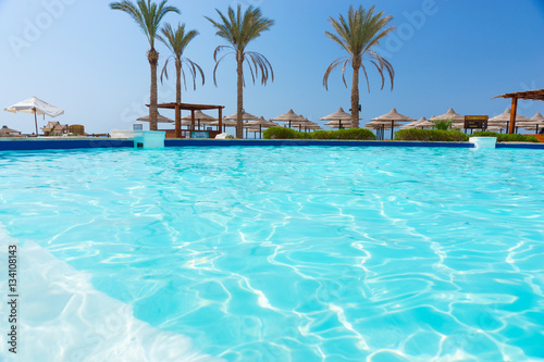 Pool with palm trees at the hotel