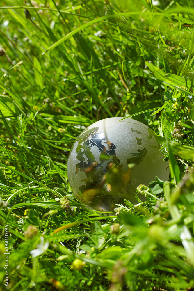 glass globe in the grass glass globe in the grass